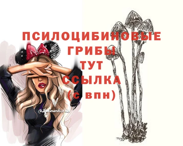 стафф Вязники